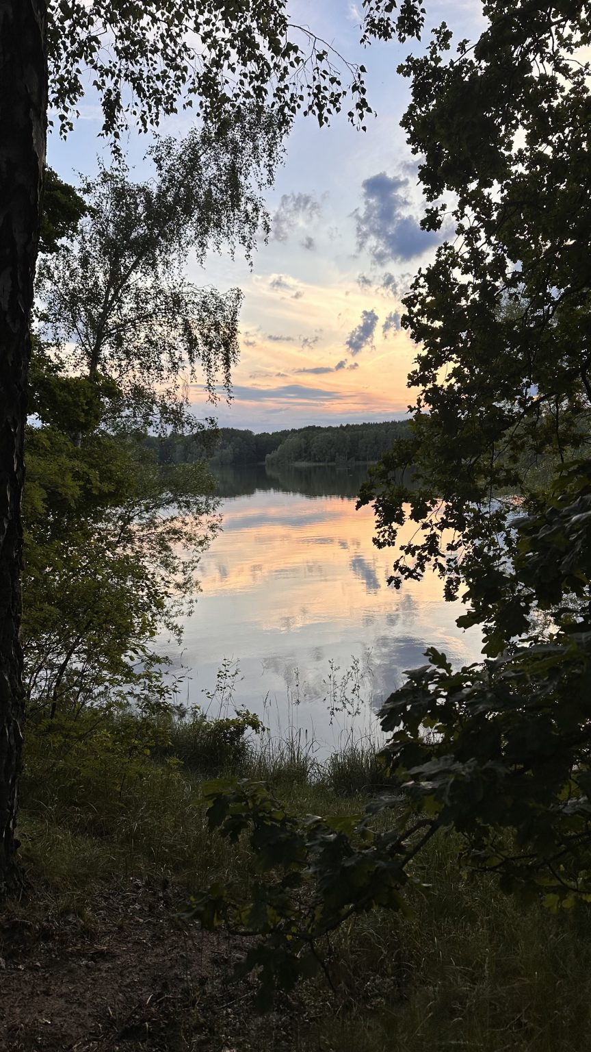 Stimmungsvoller Sonnenuntergang über einem ruhigen See, gerahmt von Bäumen am Ufer.