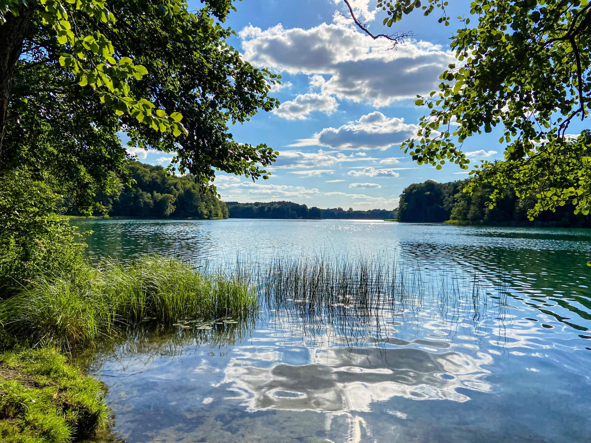 Blick auf einen See mit Bäumen und blauem Himmel.
